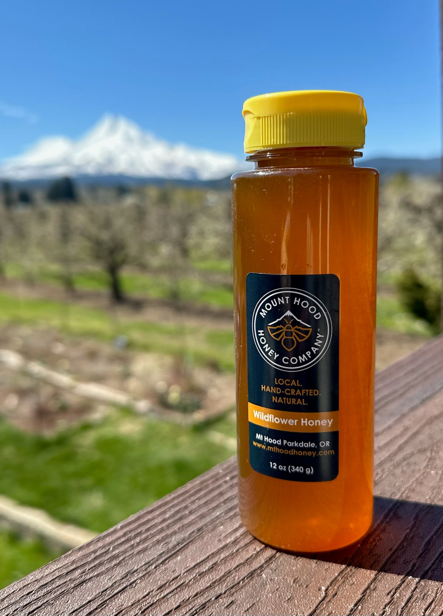 Honey - 12 oz Squeeze Bottle