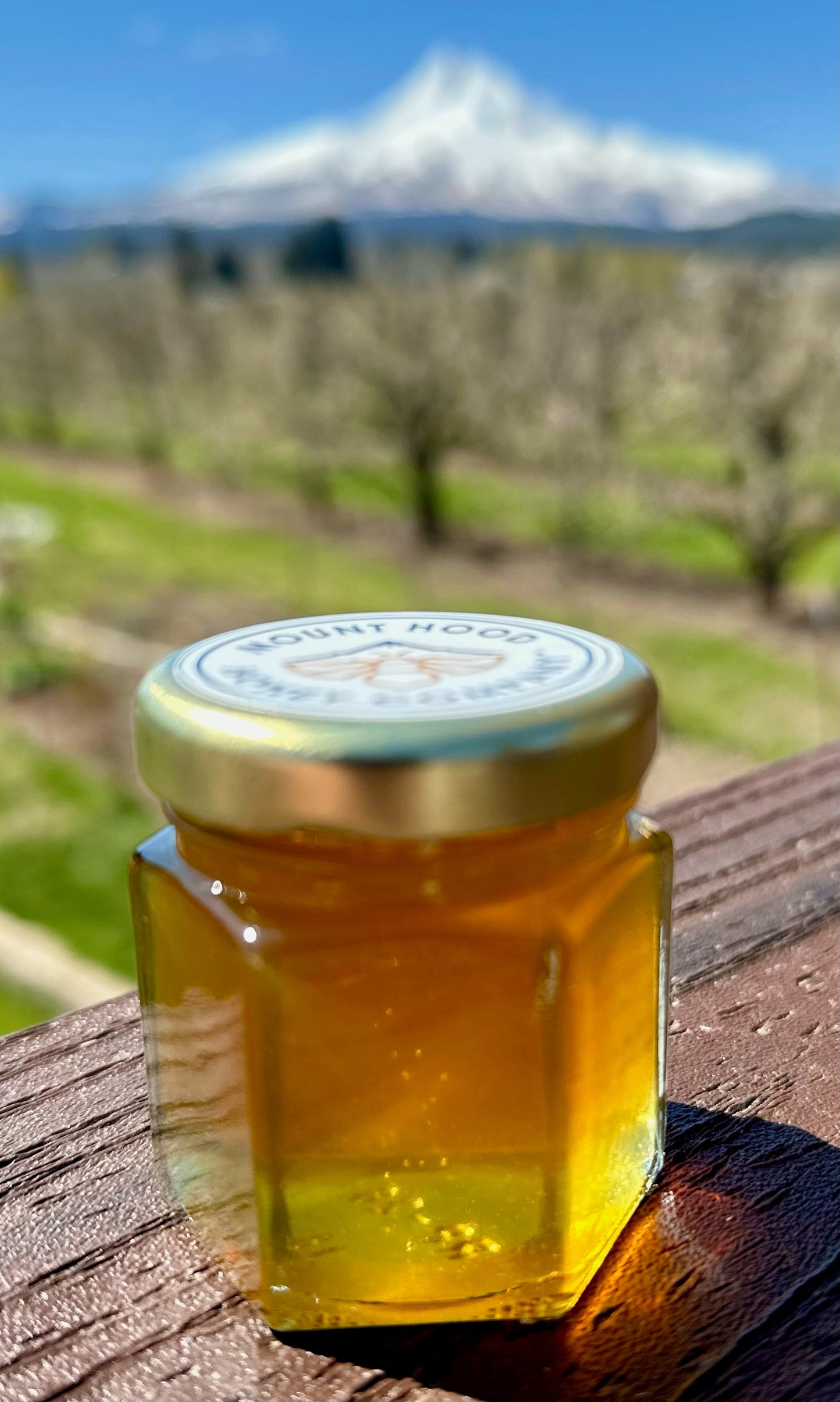 Honey - 3 oz Hex Jars