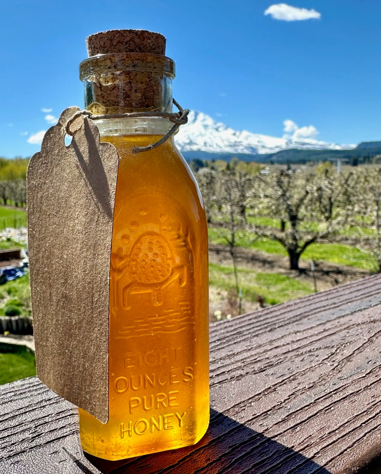 Honey - 8 oz Muth Bottles