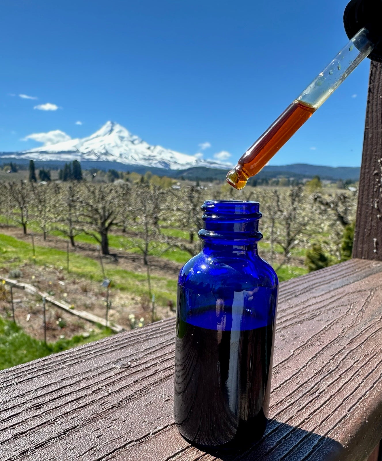 Propolis Tincture