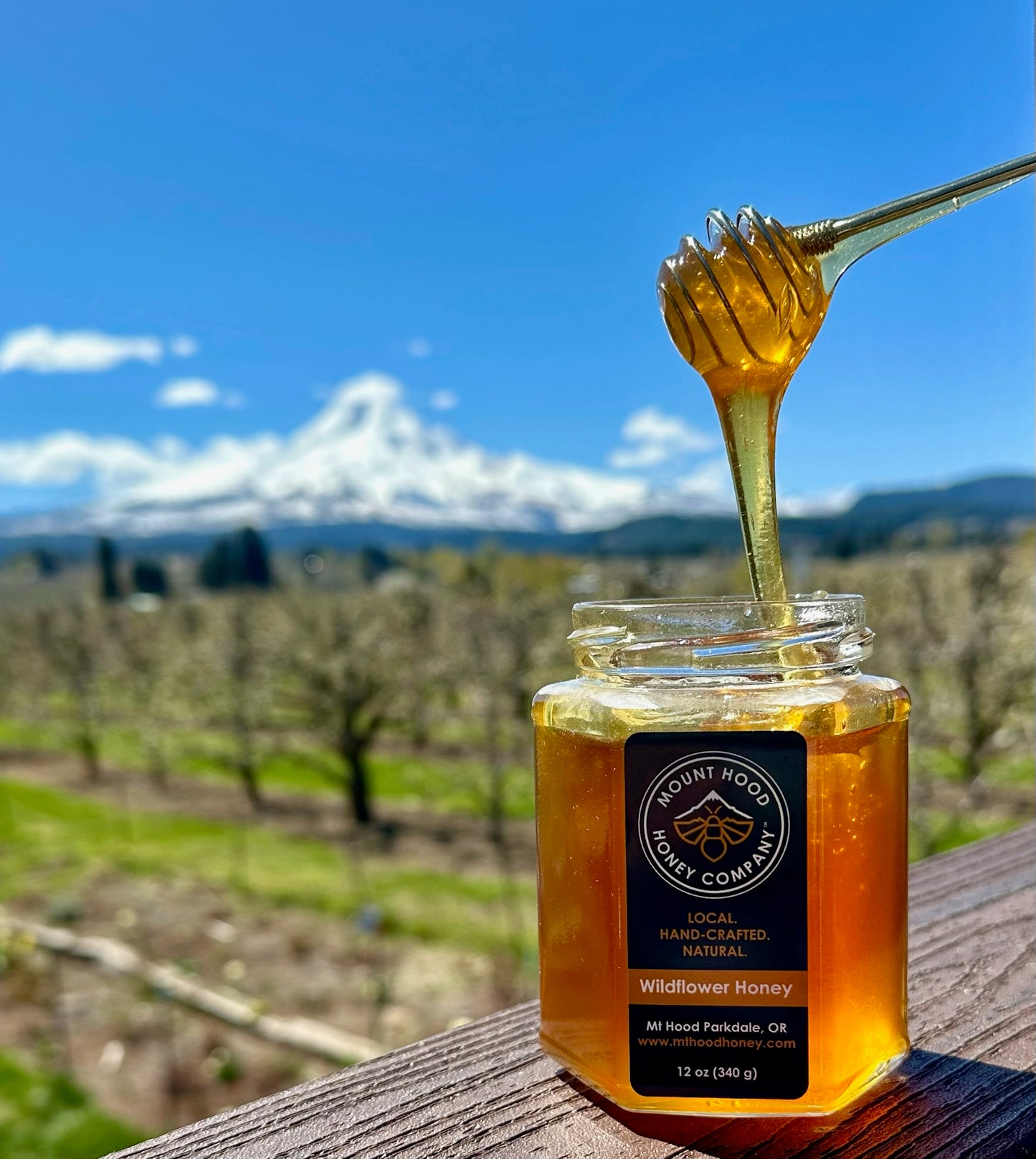 Honey - 12 oz Hex Jars