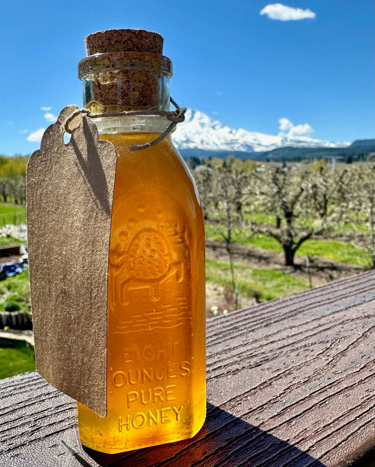 Honey - 8 oz Muth Bottles