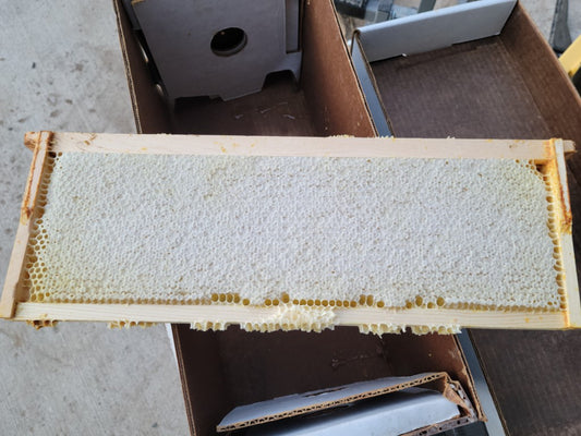 Capped Honey Frame